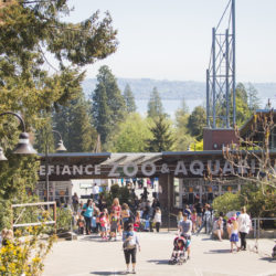 Point Defiance Zoo & Aquarium