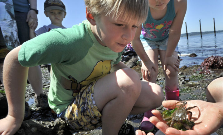 Explore the Shore and Tiptoe through the Tidepools