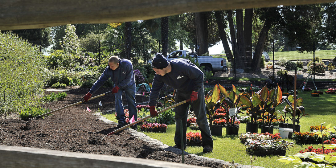 Point Defiance crew planting flowers