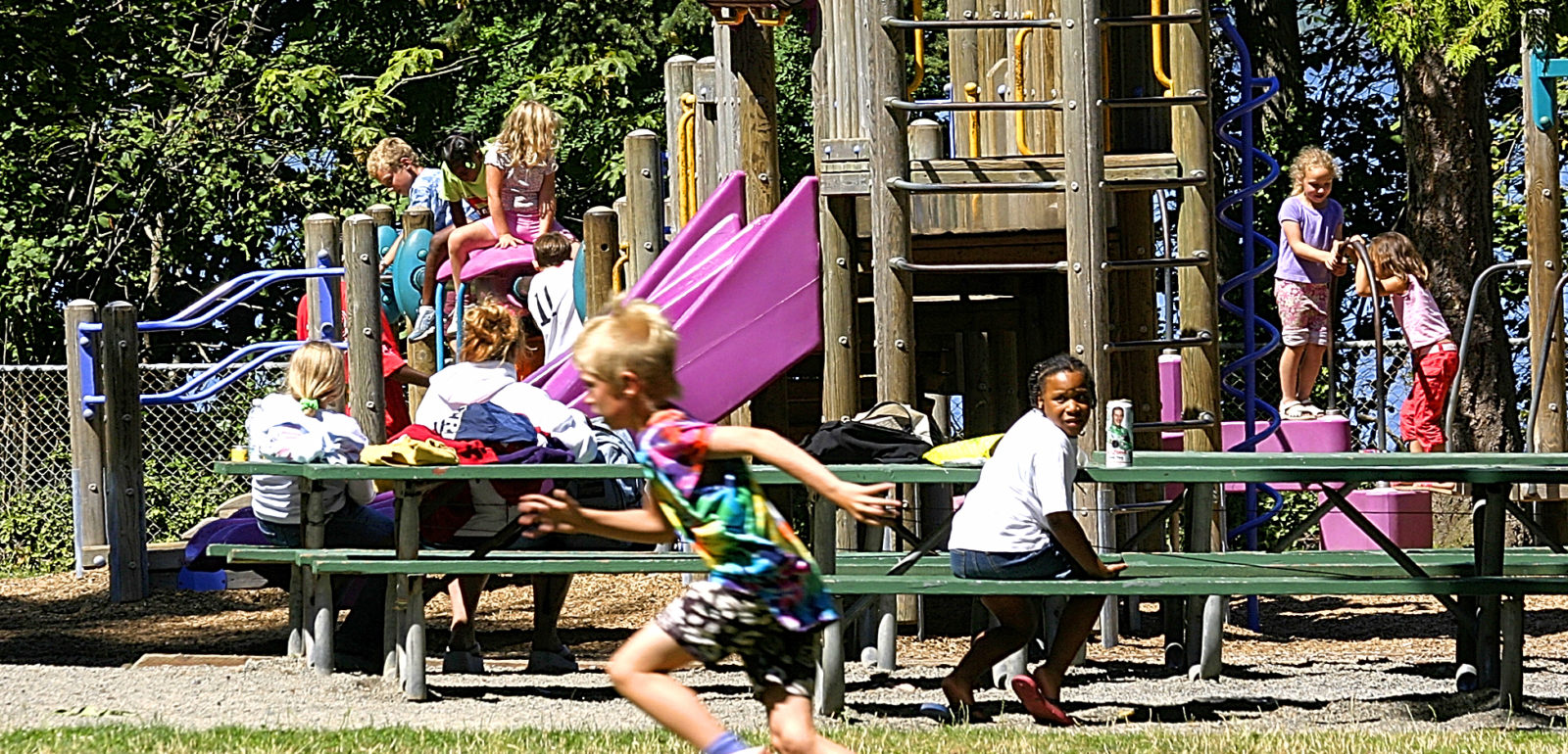 Nơi trú ẩn dã ngoại chính của Point Defiance