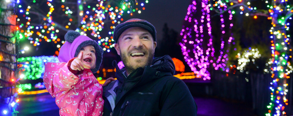 zoolights