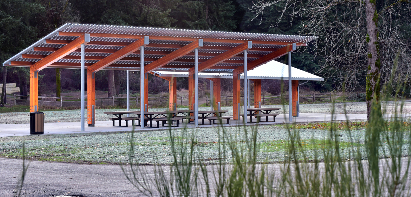 Paws, Play and Picnics: una nueva área para Swan Creek Park 2