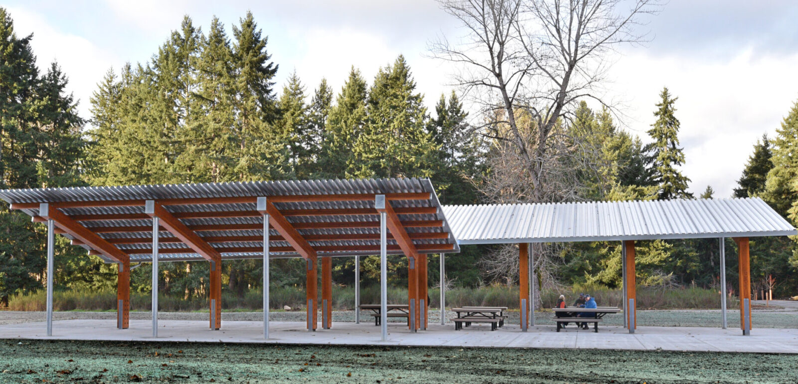 Refugio de picnic 2 del parque Swan Creek