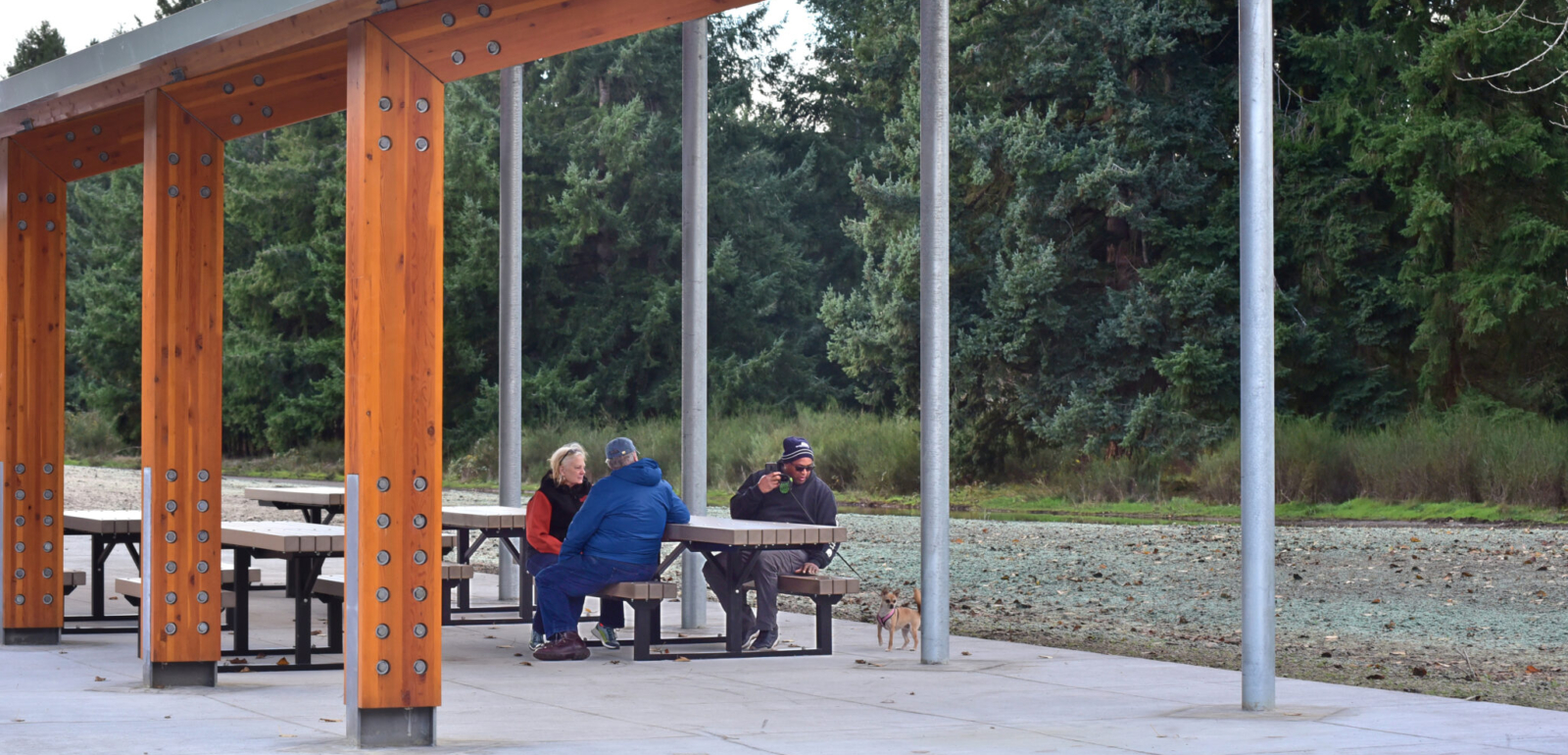 Refugio de picnic 3 del parque Swan Creek
