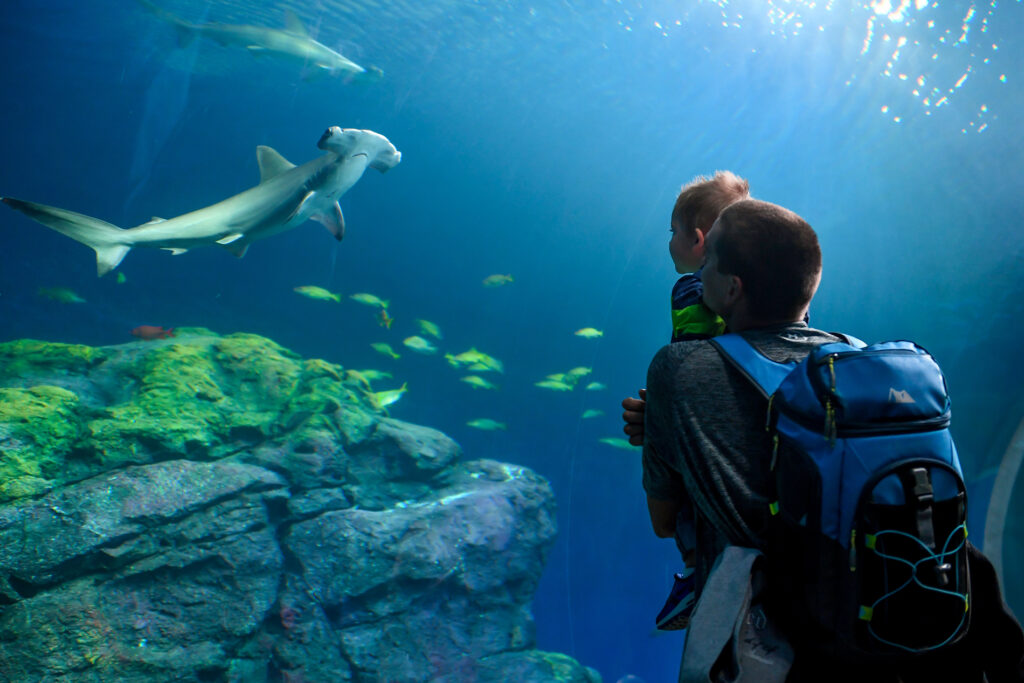 Point Defiance Park: Trái phiếu của bạn tại nơi làm việc 7