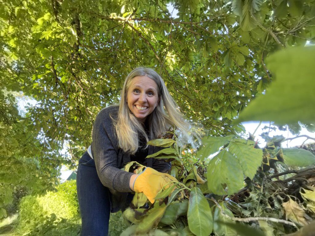 Volunteer Spotlight: a birthday wish for Jefferson Park