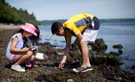 low-tide-beach-walk