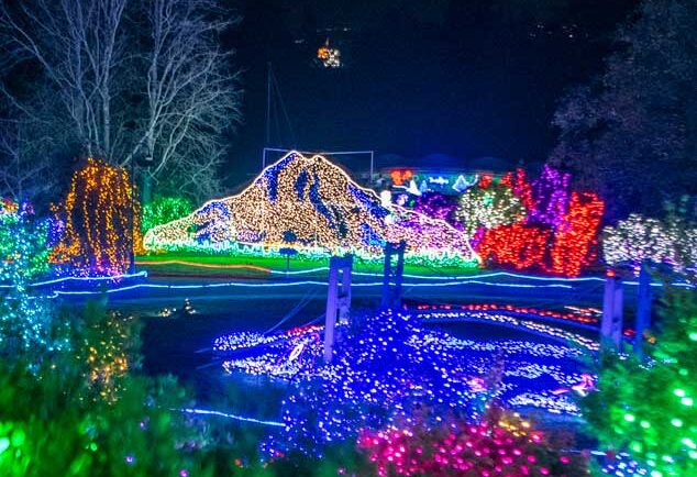 Shop Local - Parks Tacoma